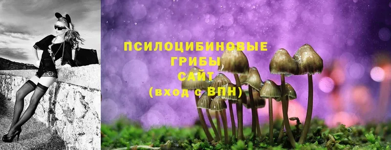 Псилоцибиновые грибы Magic Shrooms  закладки  Алексеевка 